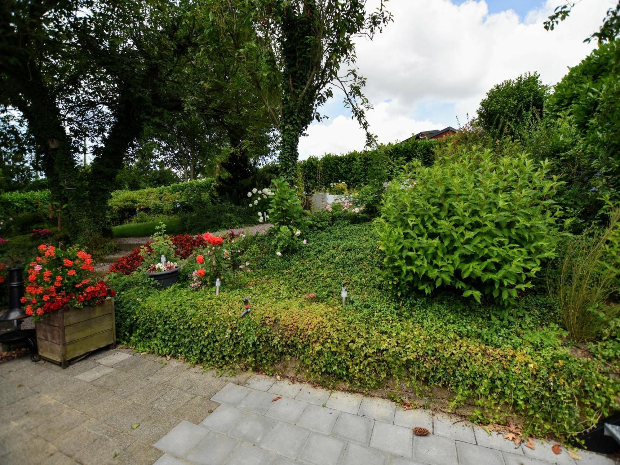 Luxury House In South Limburg Near Forest Walem Εξωτερικό φωτογραφία